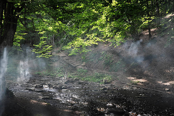istock light through the treetops and leaves in the forest, rays fall in lines on a mountain river through fog or smoke 2215064455