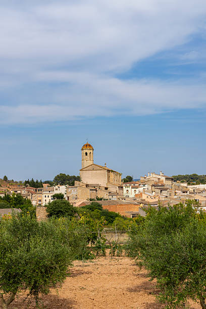 istock Blancafort skyline rising over olive grove in Catalonia, Spain 2215064456