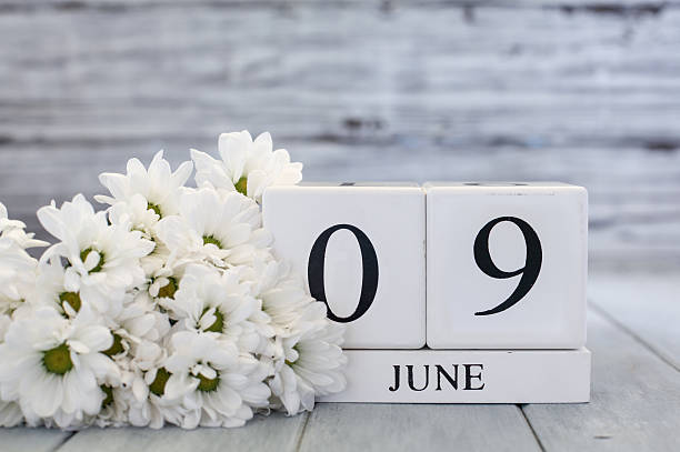 istock June 9th Calendar Blocks with White Daisies 2215067149