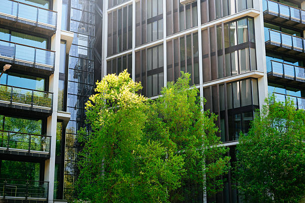 istock Modern office building facades and trees 2215067925