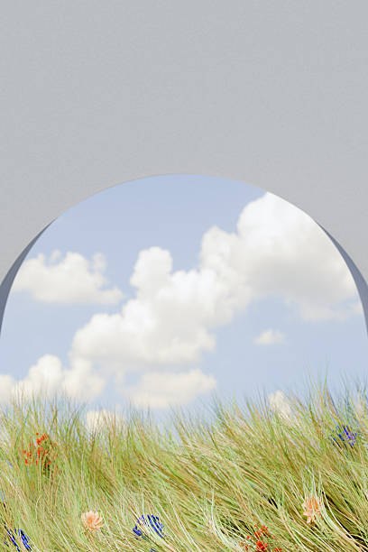 A grassy field with colorful flowers under a bright blue sky with fluffy clouds, symbolizing spring. 3d rendering