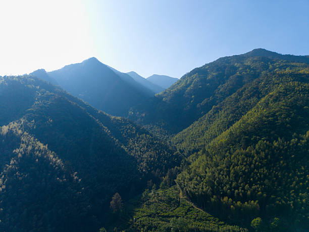 Mountainous Landscape with Dense Forests and Valley View