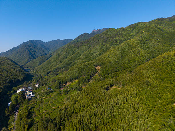 istock Mountainous Landscape with Dense Forests and Valley View 2215079060