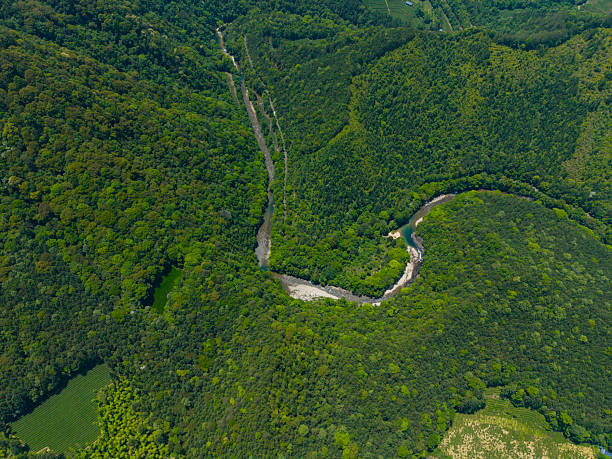 A bird's-eye perspective captures a winding river cutting through dense forest, showcasing nature's untouched beauty. The lush greenery and meandering waterway create a serene and tranquil atmosphere, ideal for environmental studies or landscape design inspiration.