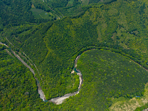 A bird's-eye perspective captures a winding river cutting through dense forest, showcasing nature's untouched beauty. The lush greenery and meandering waterway create a serene and tranquil atmosphere, ideal for environmental studies or landscape design inspiration.