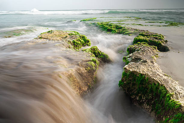 Ocean waves gently flow over moss-covered rocks on a shoreline