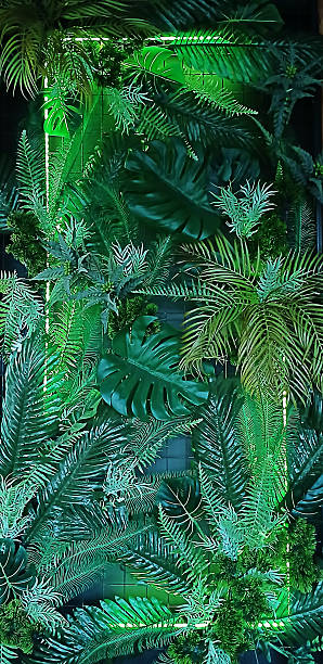 istock Vibrant green tropical plants with exotic leaves forming a lush backdrop 2215087745