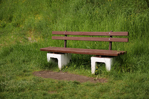 istock Wooden bench in the park 2215089376