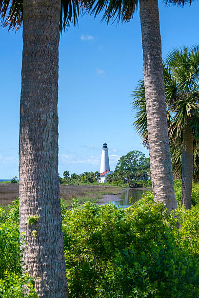 istock Saint Marks Light House, Saint Marks Nature Preserve State Park, Tallahassee, Florida 2215100259
