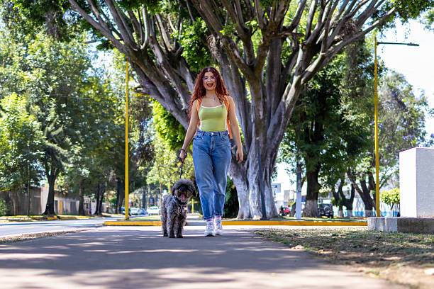 istock Woman taking a morning walk with her pet 2215100973
