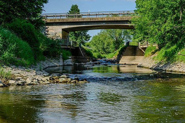 A peaceful river flows under a sturdy concrete bridge surrounded by lush greenery on a sunny day, reflecting calm waters. Wildlife can be seen in the area, enhancing the natural beauty.