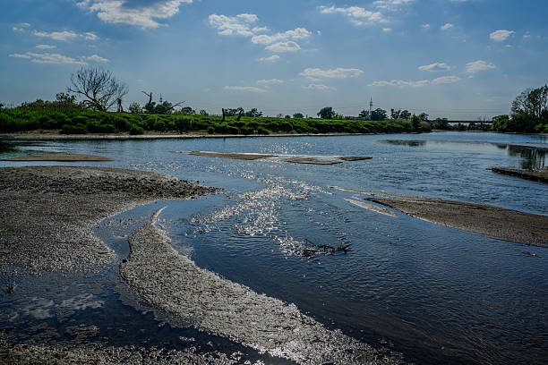 A tranquil river flows through a lush landscape, with patches of sand exposed. Sunlight sparkles on the water's surface while vegetation frames the serene view.