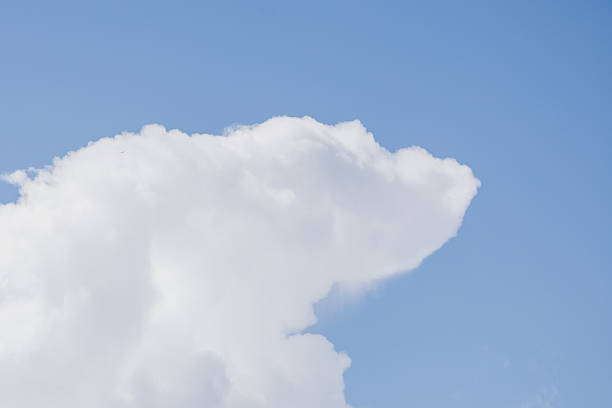 Fluffy white cloud in the blue sky. clear and cloudy weather, possible precipitation, rain. the beauty of nature, heavenly natural phenomena. a bright thundercloud.