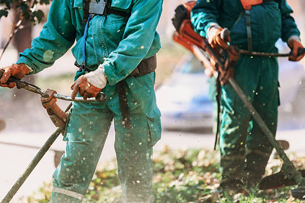 istock Landscaping workers maintain a green space in a busy urban area during daylight hours 2215107576