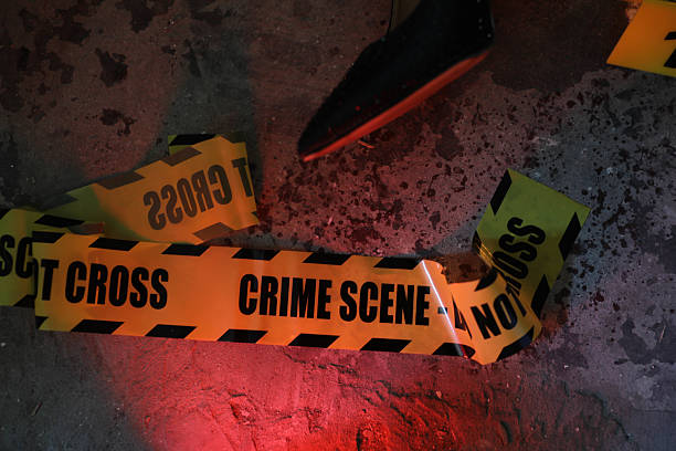 istock Evidence Markers Line the Floor as Forensic Team Probes Crime Scene 2215108603