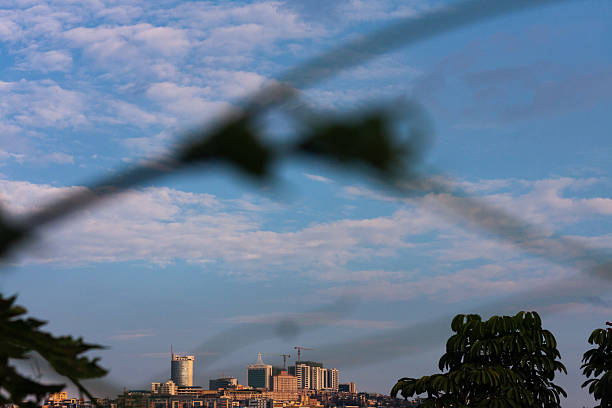An artistic and somewhat abstract view of the Kigali skyline, partially obscured and softened by out-of-focus foliage in the foreground. This unique perspective offers a different way to see the urban landscape of Rwanda's capital.