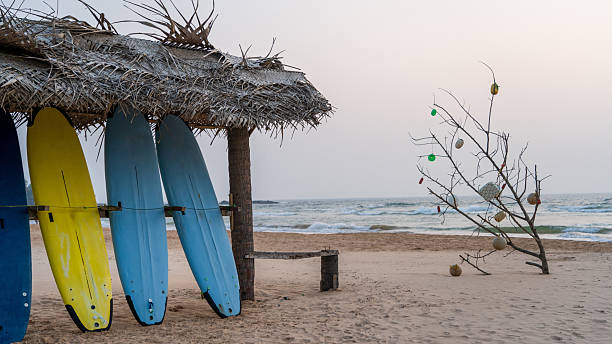 istock Surfboard and Palm Tree on the Beach in Sri Lanka 2215116099