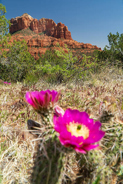 istock Sedona Arizona 2215121747