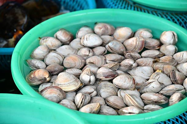 Taiwan Seafood: Clams in Harvest Baskets