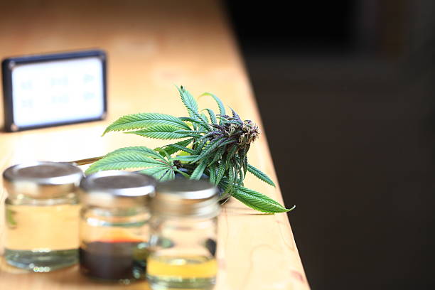 istock medical cannabis medicinal marijuana hemp industrial 2215139996