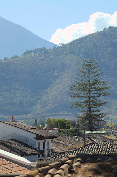 istock Beautiful landscape of old town and tree 2215149479