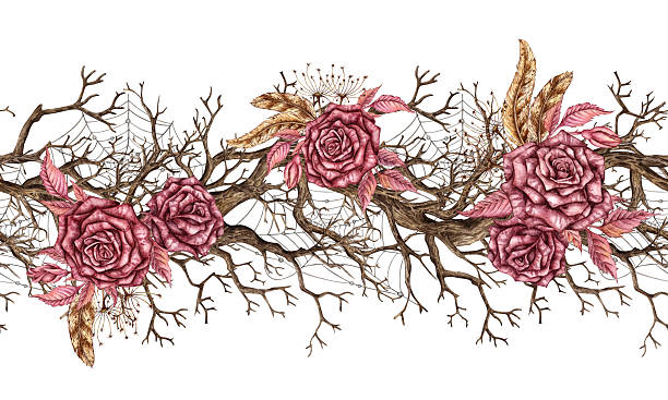 Driftwood roses web pattern horizontal watercolor Rose maroon, dried flowers, feathers, driftwood and cobweb watercolor illustration. Halloween or Day of the Dead botanical decoration. Isolated from background. Gothic design. Pattern horizontal, ribbon, border clip art of a dead rose stock illustrations