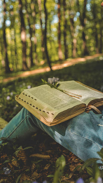 istock Open Bible resting on a person's lap in a spring forest, surrounded by periwinkle flowers and sunlit trees, symbolizing peace, meditation, and spiritual connection with nature 2215161217