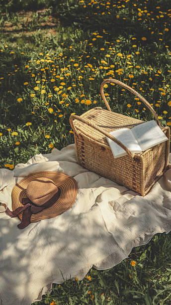 istock Woven picnic basket with an open book on top, resting on a cream blanket surrounded by blooming dandelions and a straw sunhat on a sunny spring day 2215161228
