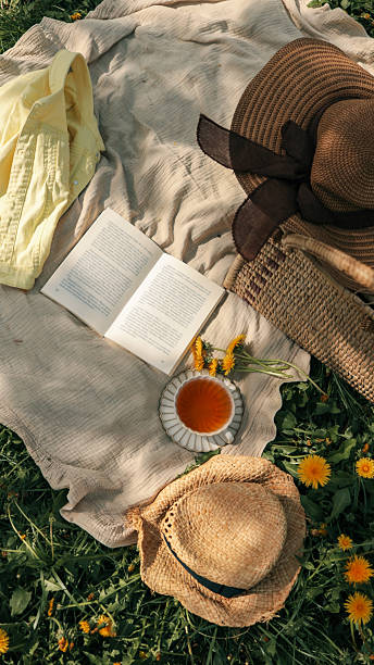 istock Open book, tea cup, straw hats, and dandelions on a beige blanket during a sunny spring picnic. Cozy and relaxing outdoor scene in the grass 2215161241