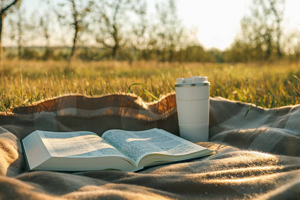 istock Blanket, Bible and thermos with tea, solitude on the field 2215162291