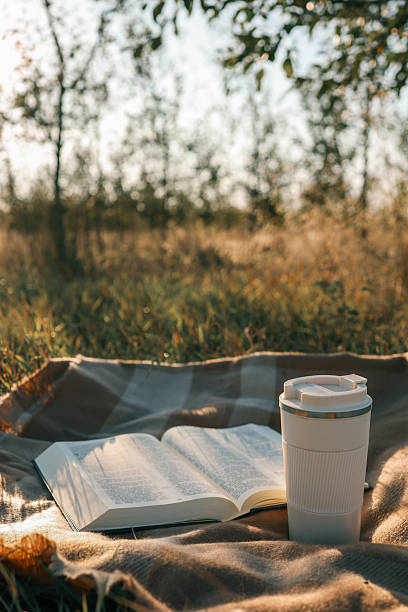 istock Blanket, Bible and thermos with tea, solitude on the field 2215162295
