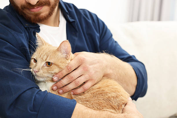 istock Man petting cute ginger cat on sofa at home, closeup 2215168252