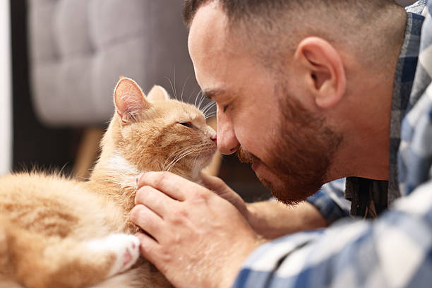istock Man petting cute ginger cat on floor at home 2215168382