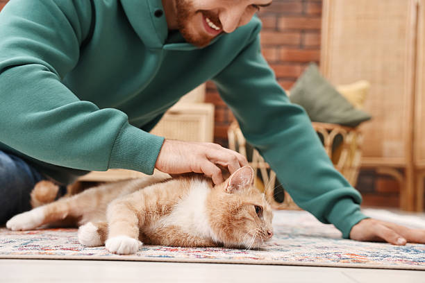 istock Man petting cute ginger cat on floor at home, closeup 2215168385