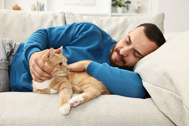 istock Man petting cute ginger cat on sofa at home 2215168413