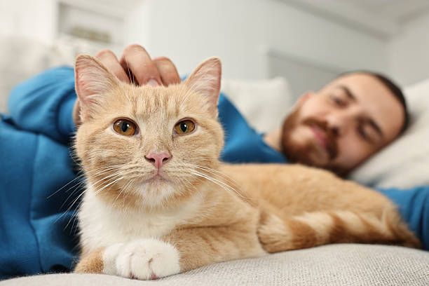 istock Man petting cute ginger cat on sofa at home, selective focus 2215168463