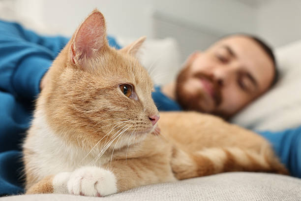 istock Man petting cute ginger cat on sofa at home, selective focus 2215168482