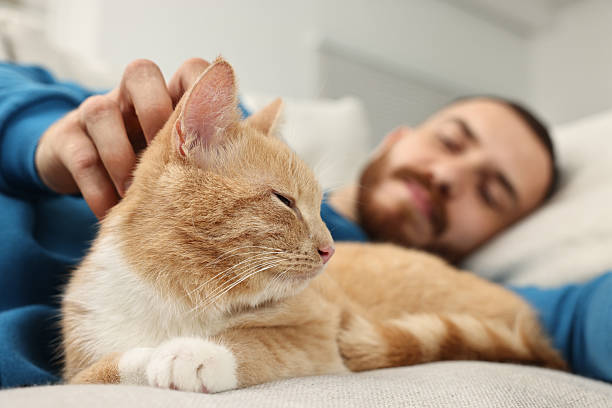 istock Man petting cute ginger cat on sofa at home, selective focus 2215168678