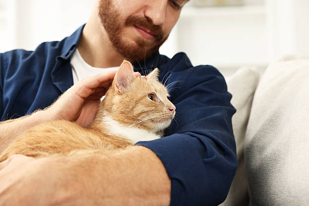 istock Man petting cute ginger cat on sofa at home, closeup 2215168821