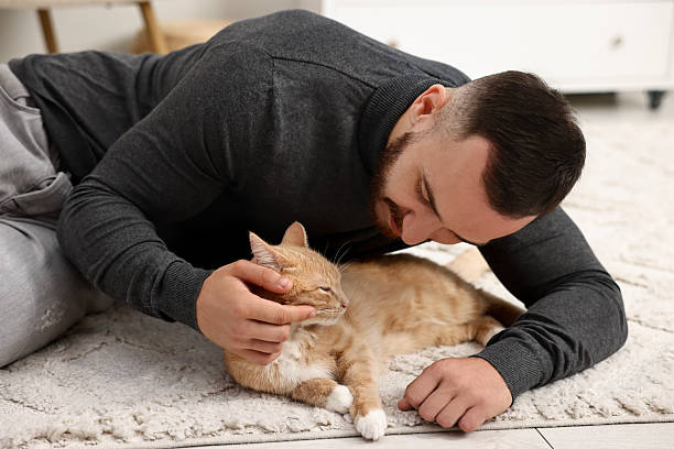 istock Man petting cute ginger cat on floor at home 2215168827