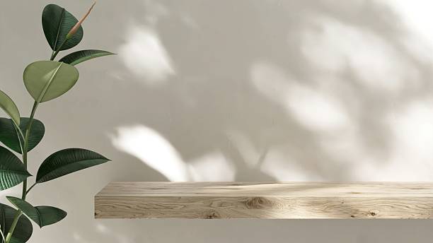 istock Light brown wooden plank shelf tropical tree in dappled sunlight on cream white wall for modern, luxury fashion, beauty, cosmetic, skincare, body care, product background 3D 2215173209