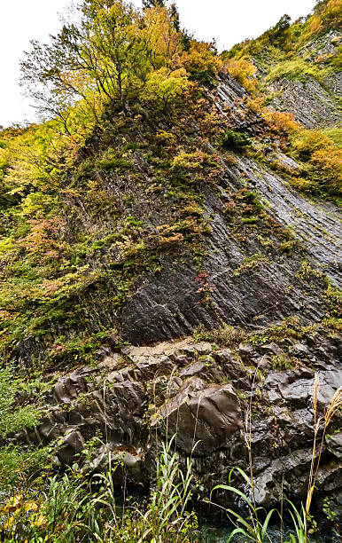 istock Niigata Prefecture, Japan's Three Great Gorges, Kiyotsu Gorge 2215175365