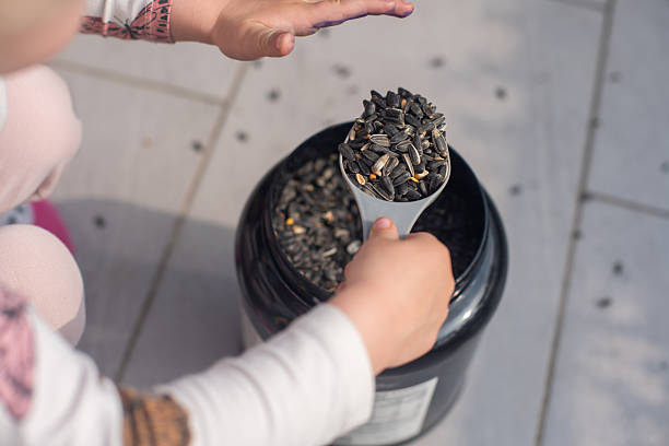 Little girl feeding birds with seeds