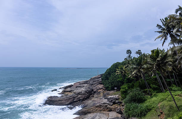 Beach landscape, Beautiful arial view of beach with sea waves and coconut trees. Nature scenery.