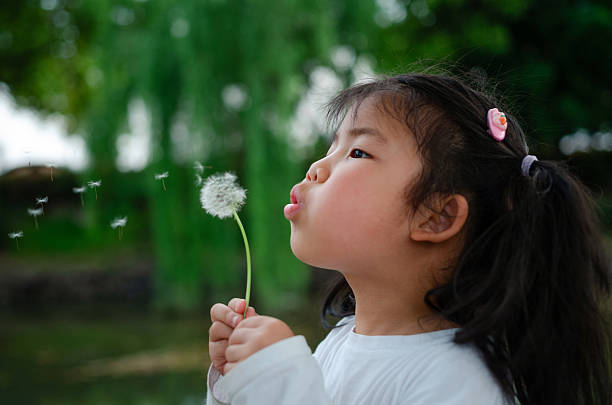 The little girl is holding a dandelion and blowing