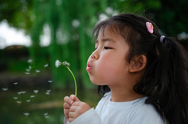 istock Little girl blowing dandelions 2215180861