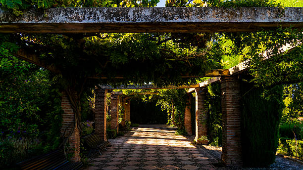 istock Enchanting Vine-Covered Pergola at Alhambra Gardens with Rustic Columns and Sunlit Path in Granada, Spain 2215180953