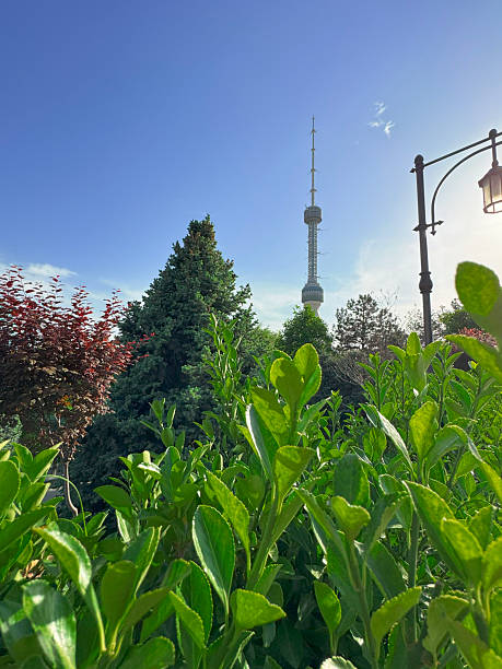 istock Tashkent TV Tower, Uzbekistan 2215182055