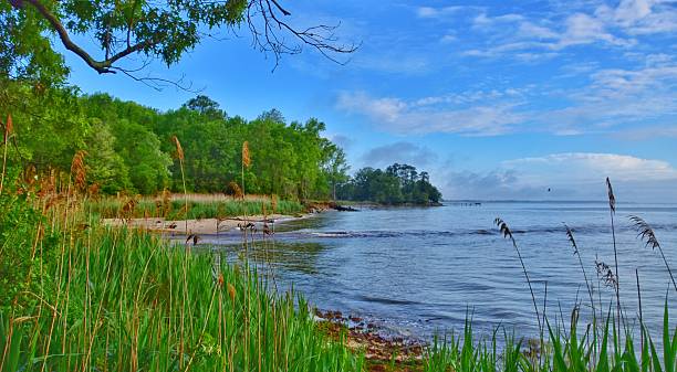 istock Chesapeake Bay shoreline in southern Maryland 2215192807