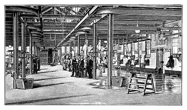 Slaughterhouses and cattle yards, interior view of a cattle slaughterhouse
